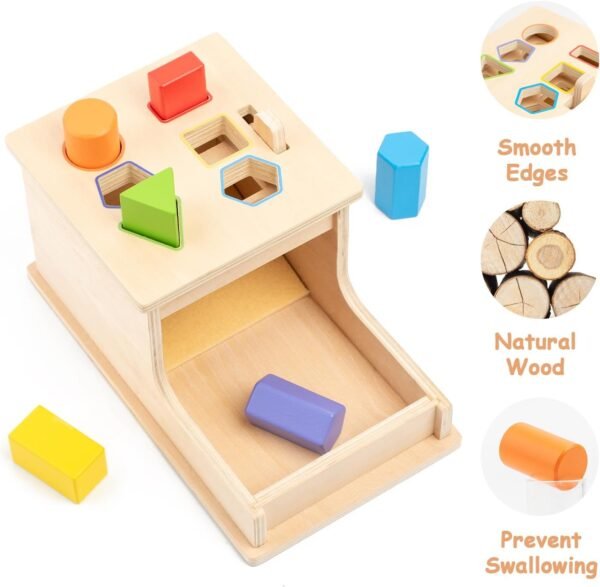 Montessori Toys for Babies 6-12 Months,Object Permanence Box Wooden Ball Drop Montessori Toy for Toddlers,Color & Shape Sorting Learning Matching Box for Ages 1-3