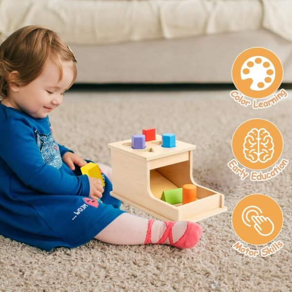 Montessori Toys for Babies 6-12 Months,Object Permanence Box Wooden Ball Drop Montessori Toy for Toddlers,Color & Shape Sorting Learning Matching Box for Ages 1-3