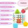 Montessori Toys for 1 Year Old, Toy 6 Pc Multi Sensory Shape, Toddler Developmental Learning Toys Birthday Gifts, Baby Toys 12 Month