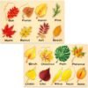 2 Pieces Leaf Wooden Jigsaw Puzzles Leaf Puzzle Montessori Toy Montessori Puzzle Early Educational Learning Puzzle for Birthday Gift Early Education School(Classic)