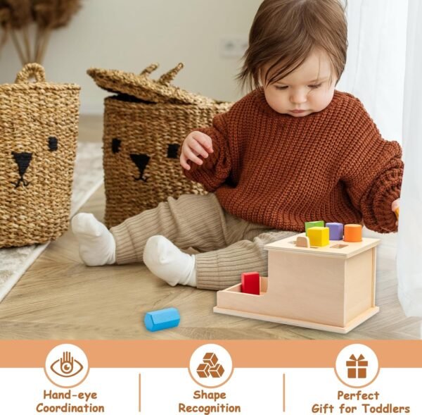Montessori Toys for Babies 6-12 Months,Object Permanence Box Wooden Ball Drop Montessori Toy for Toddlers,Color & Shape Sorting Learning Matching Box for Ages 1-3