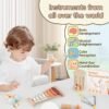 Baby Musical Instruments-Montessori Wooden Toys with Modern Boho Xylophone Tambourine, Neutral Colors Musical Toys for Toddlers 3+,Kids Preschool Educational Birthday Gifts.